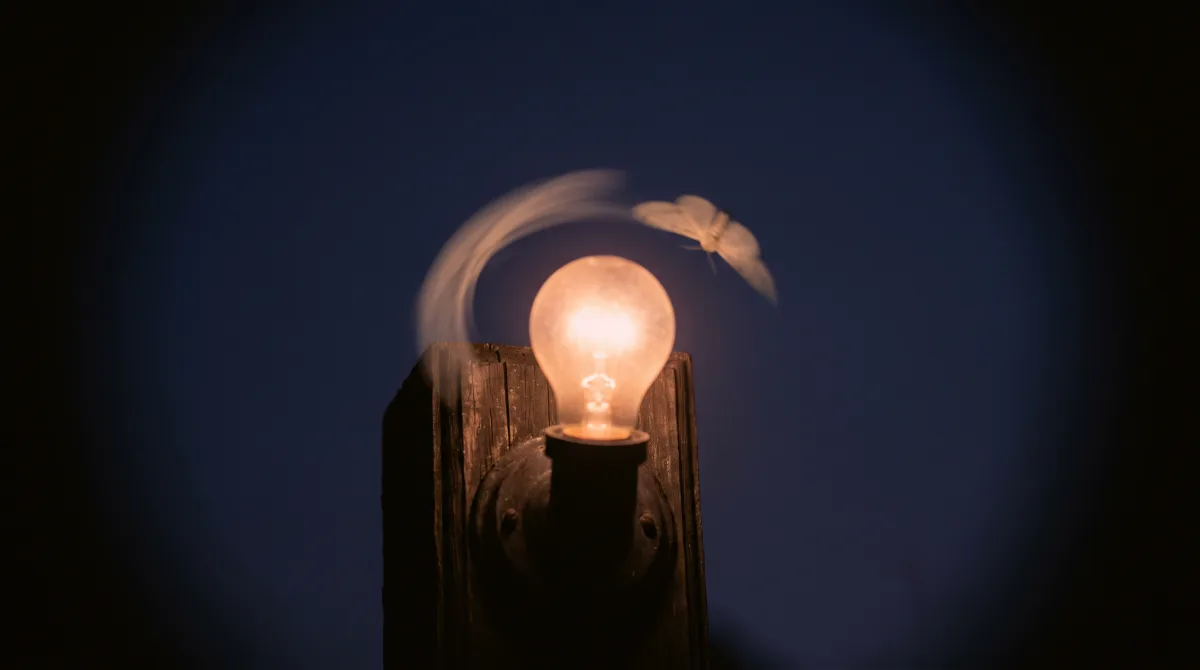 A single moth circling a warm porch light at dusk against a deep blue sky, a faint trail marking its loop